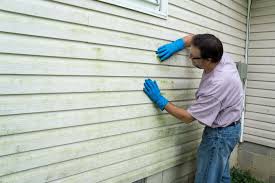 Best Vinyl Siding Installation  in Etowah, NC